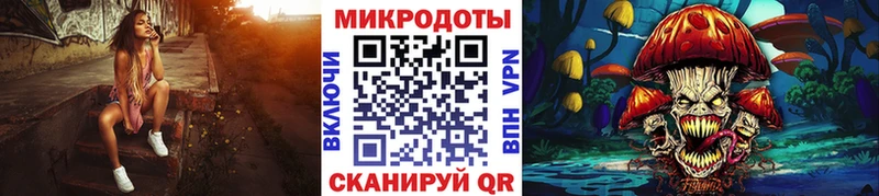 хочу наркоту  Воткинск  Галлюциногенные грибы Psilocybe 